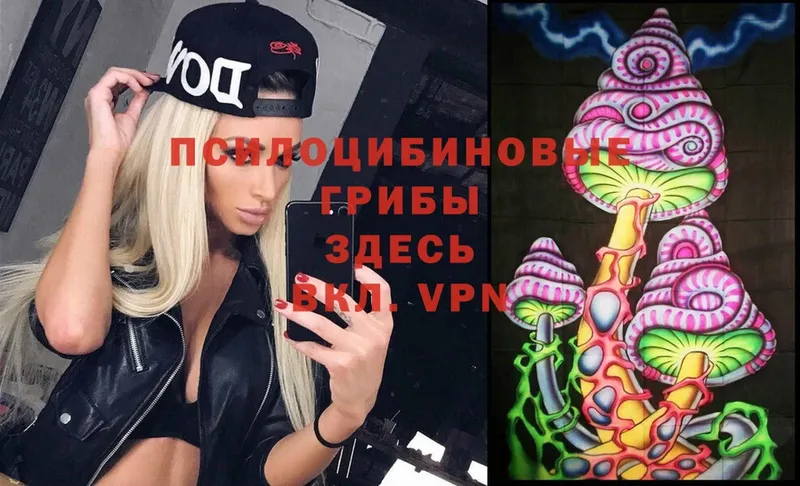 Галлюциногенные грибы Psilocybe  нарко площадка формула  Ишим 